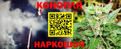 сатива Нягань