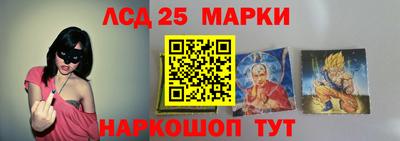 индика Обнинск