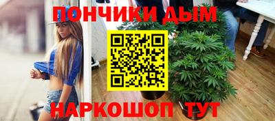 индика Обнинск