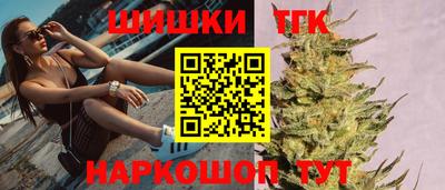 индика Обнинск