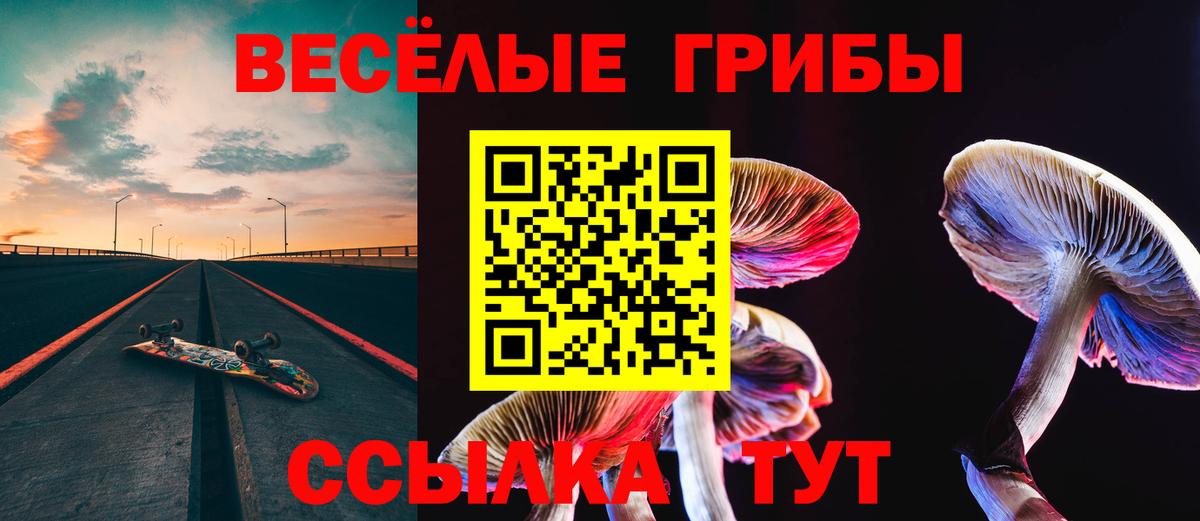 Ревда  Псилоцибиновые грибы мухоморы  Вход с VPN 